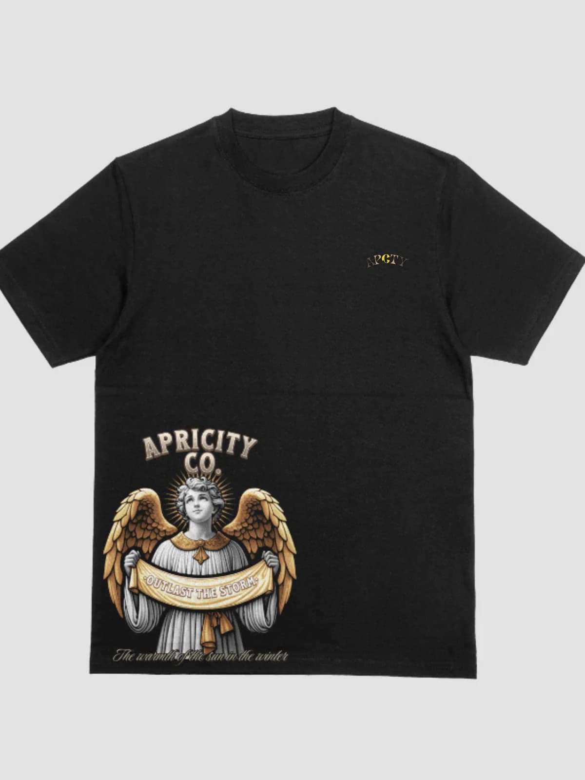 APCTY Outlast the Storm Tee in black, front view on a studio background